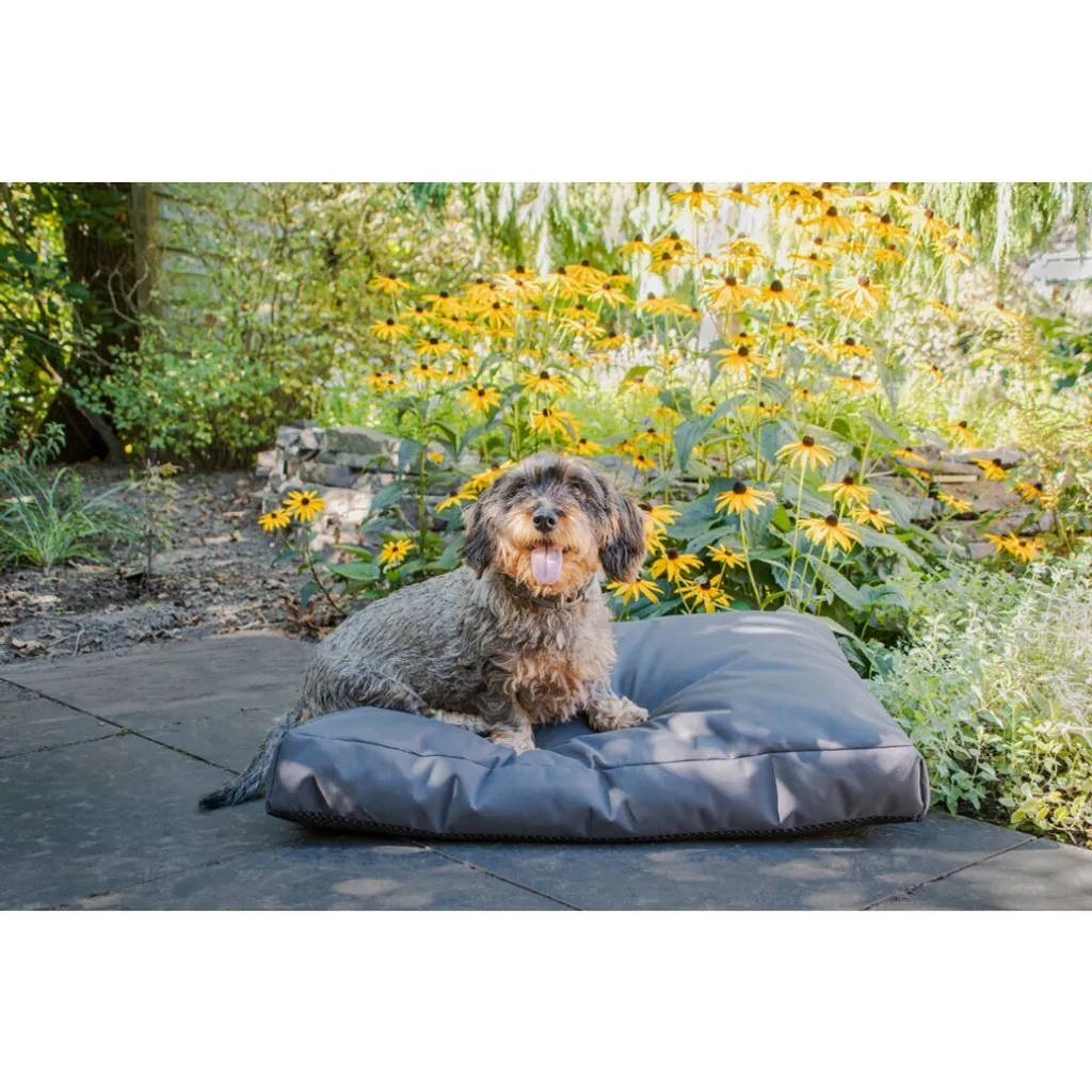 Lets Sleep Cushy Cloud Coussin pour chien extérieur Anthracite M - 2