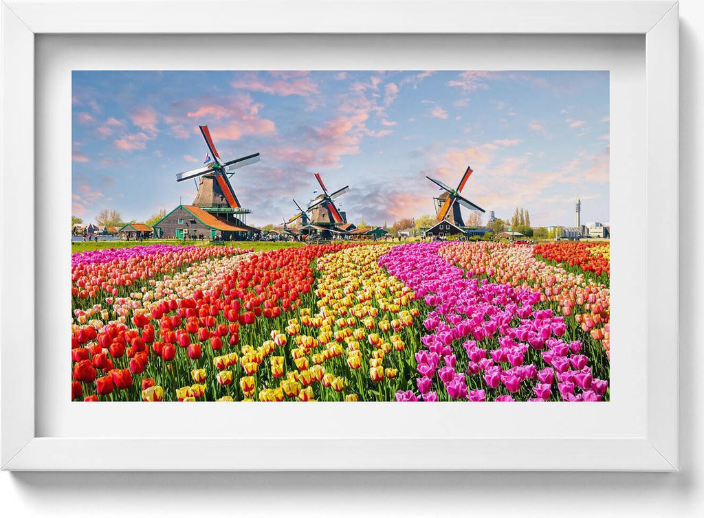 Landschaft mit Tulpen Niederlande– Wandbild mit Rahmen – Gerahmtes Bild – Wanddekoration – 30x20 cm – Weiß Rahmen