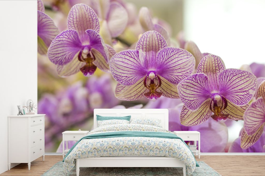 MuchoWow Fototapete für Wohnzimmer oder Schlafzimmer Wandtapete Vinyl Motivtapete Die vielen lila Orchideen - 360x240 cm - Vinyl-Tapete