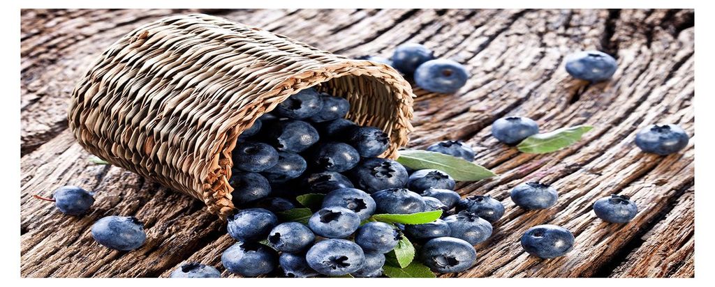 Tulup Küchenrückwand Spritzschutz aus Glas -125x50 -Spritzschutz auf gehärtetes Glas Deko Essen Getränke Blaubeeren Korb