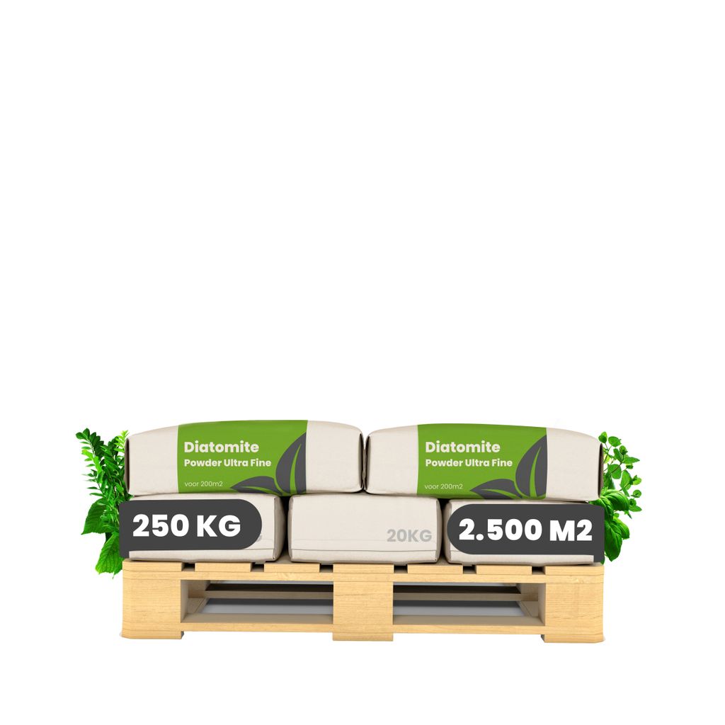 Kieselgur – 100 % rein – ultrafeines Pulver (25x = 250 kg) Produktbild 