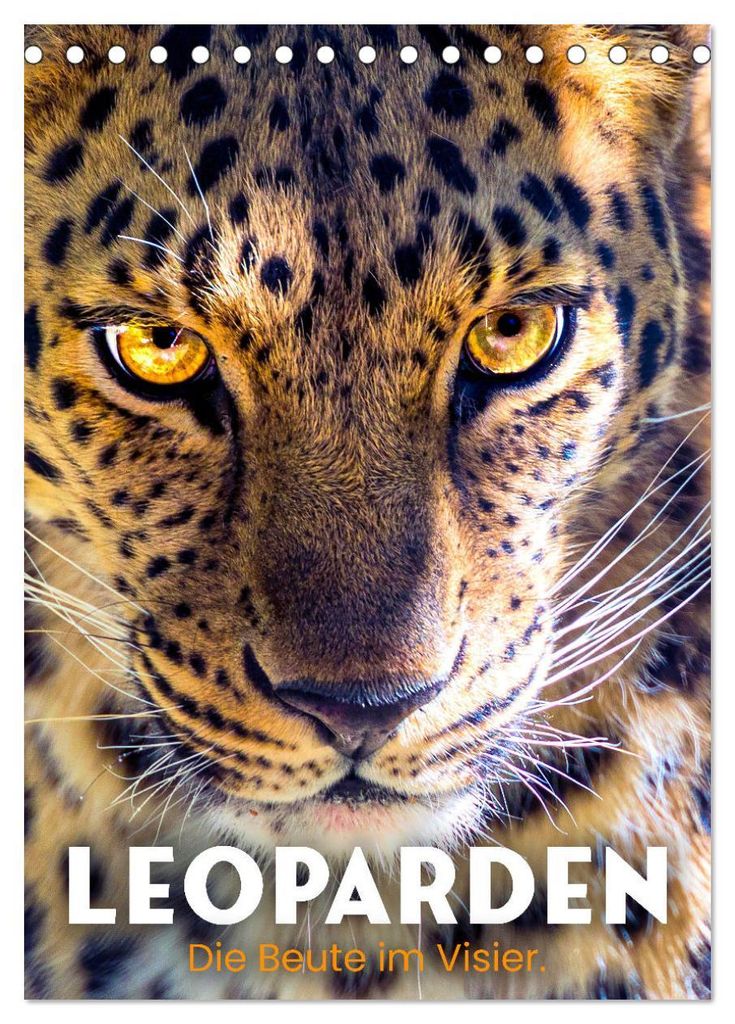 Leoparden - Die Beute im Visier. (Tischkalender 2027 DIN A5 hoch), CALVENDO Monatskalender