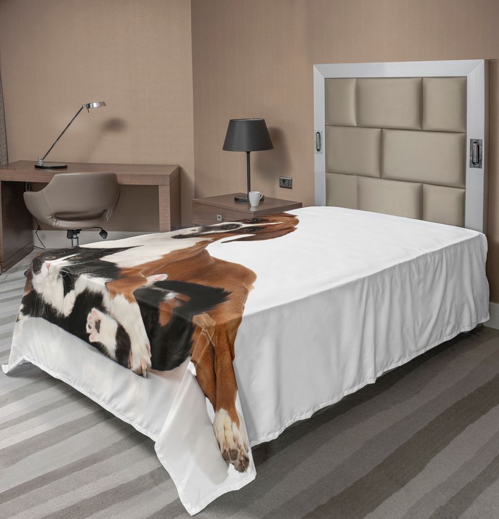 ABAKUHAUS Tier Bettlaken, Katze und Hund, die zusammen auf Fußboden liegen Nettes Paar-wirkliches Freund-Kitty Portrait, weiches bequemes oberes B...