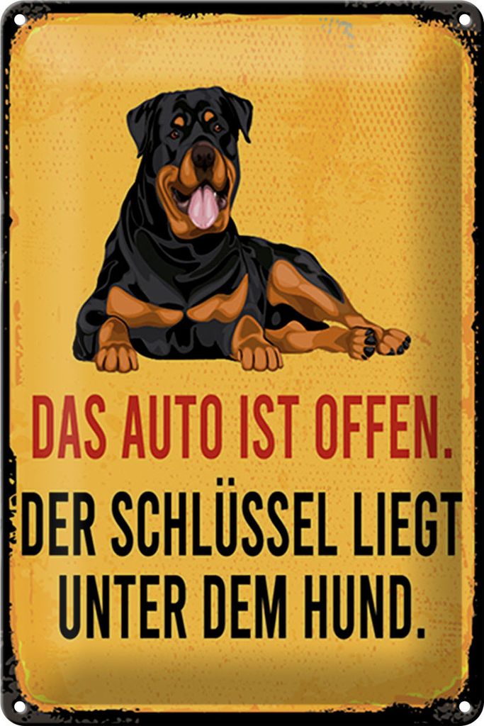 Blechschild Spruch 20x30 cm Auto offen Schlüssel Hund Schild