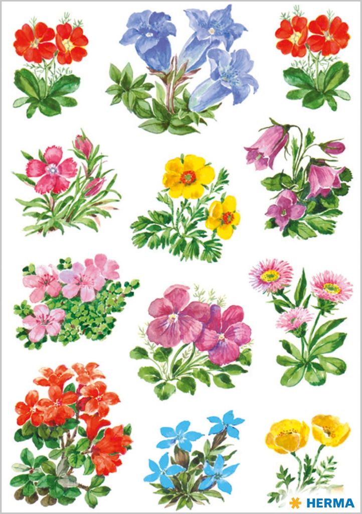 Herma 3582 Nálepka DECOR horské květiny Obrázek produktu 