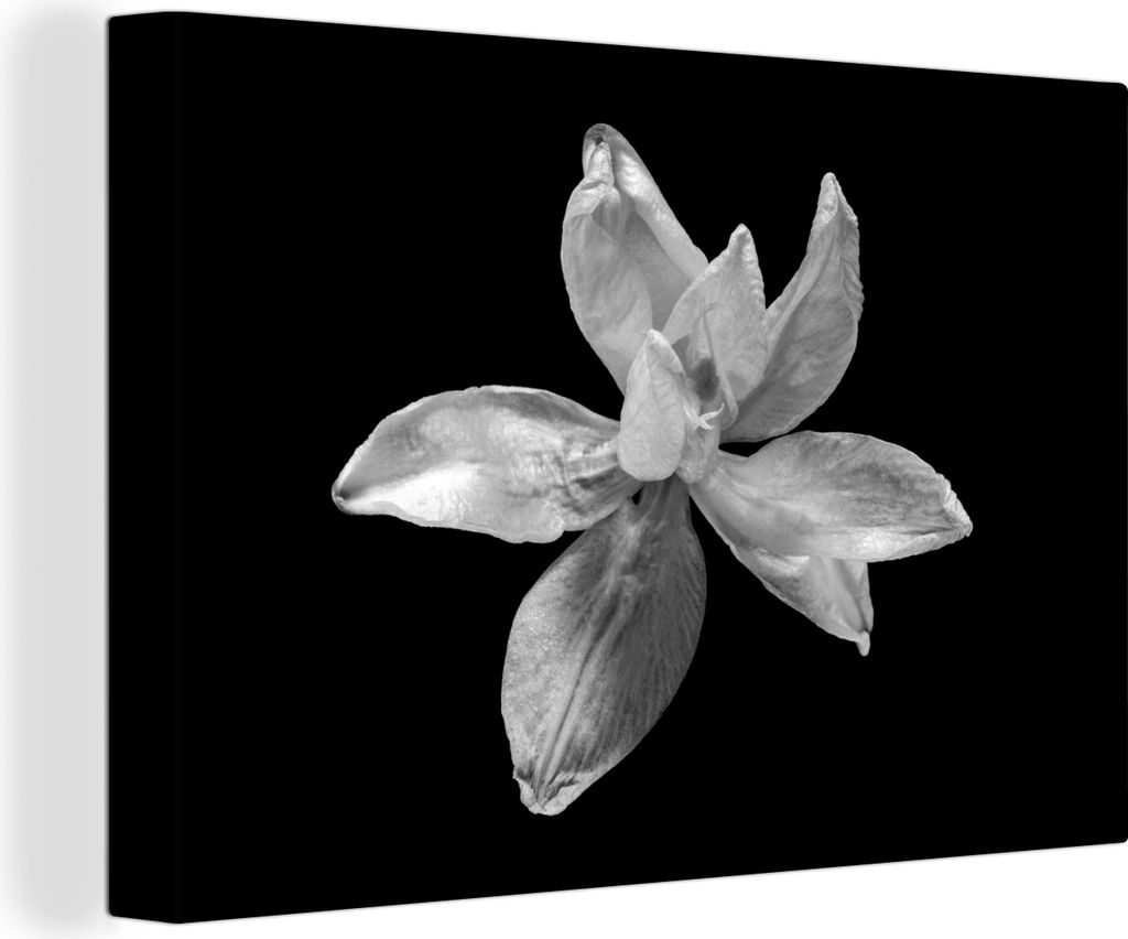 OneMillionCanvasses - Leinwandbilder - 140x90 cm, Lilie - Schwarz - Weiß - Abstrakt, Wandbilder Kunstdruck Wanddekoration