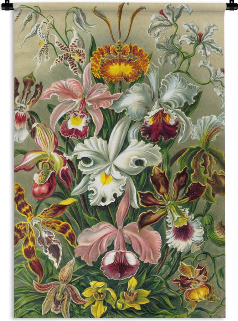 MuchoWow Wandteppich Wandbehang Pflanzen - Natur - Blumen - Ernst Haeckel 60x90 cm Tapisserie Dekoration Wandtuch - Foto-Teppich - Abwaschbar