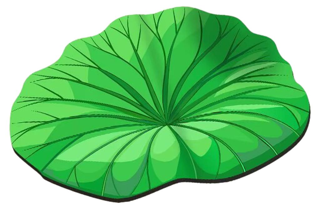 Realistischer 3D-Blattteppich, unregelmäßige Blattform, rutschfeste Fußmatte in Grün für Bad, Küche und Wohnzimmer