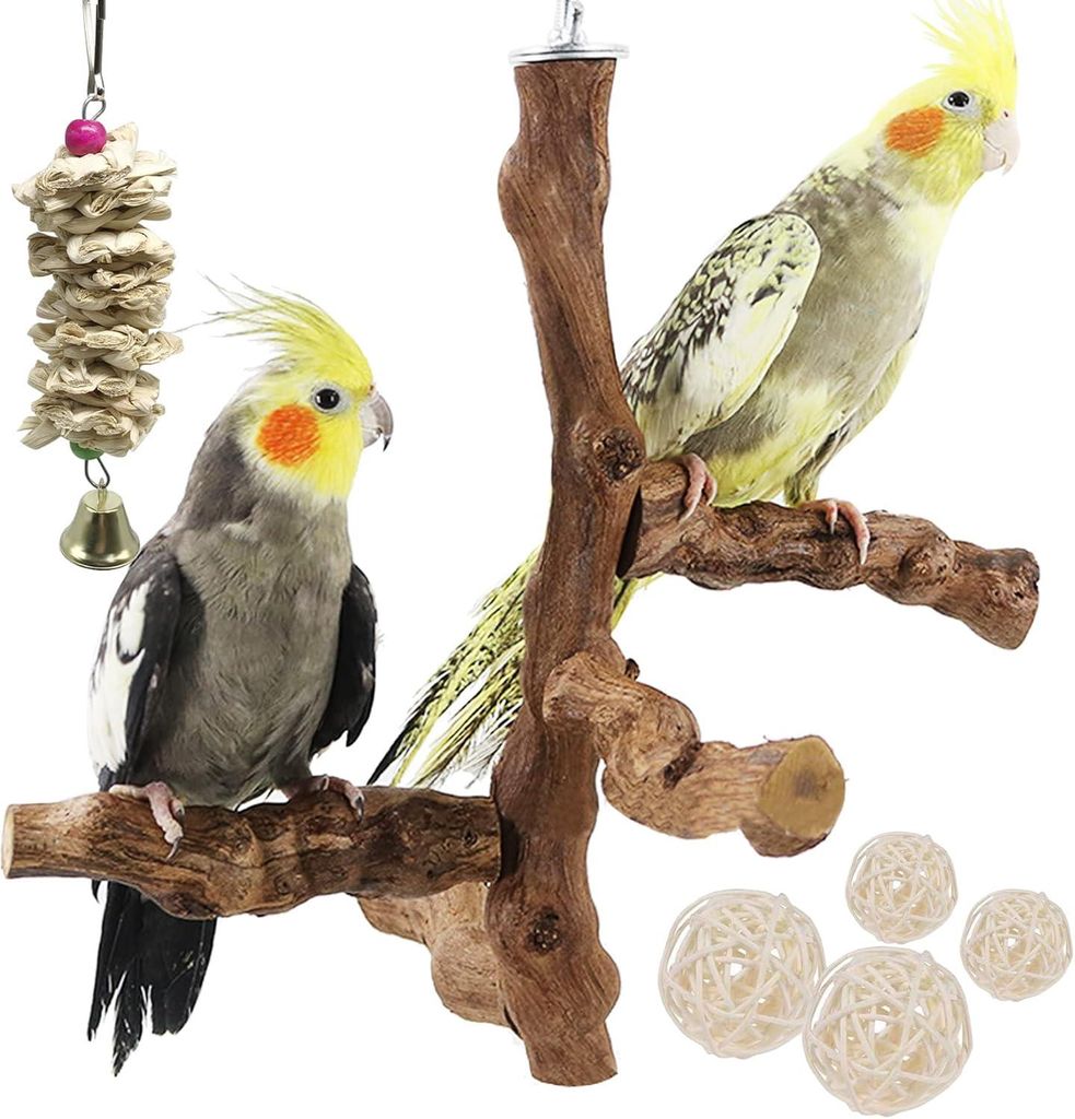 1 Stk. natürliche Holzstangen für Vögel, Ast-Sitzstange, Holz-Vogelspielzeug, Kauspielzeug für Kakadus, Papageien, Sittiche, Kanarienvögel