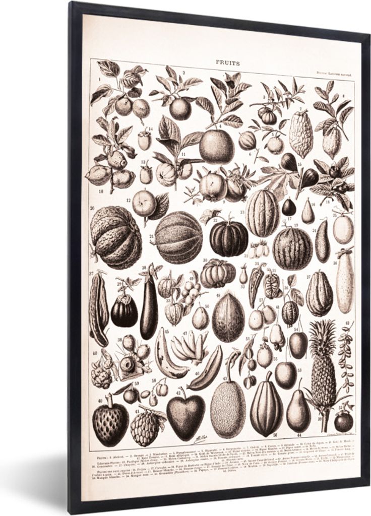 MuchoWow Gerahmtes Poster Obst - Lebensmittel - Schwarz - Weiß 40x60 cm - Poster mit Schwarzem Bilderrahmen Wandposter Rahmen Foto Bilder - Papi...