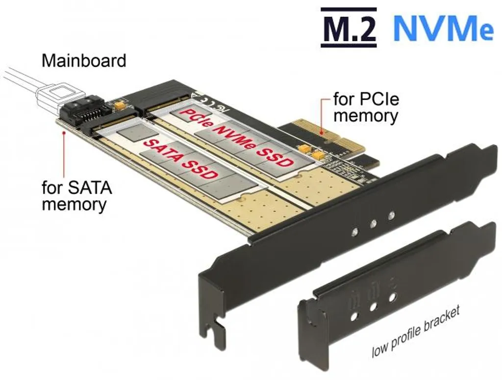 Carte PCIe x4 Delock vers double M.2 NVMe et SATA pour PC