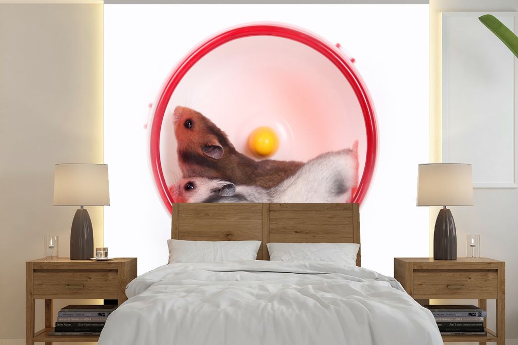 MuchoWow Fototapete für Wohnzimmer oder Schlafzimmer Wandtapete Vinyl Motivtapete Hamster im Laufrad - 350x350 cm - Schlafzimmertapete