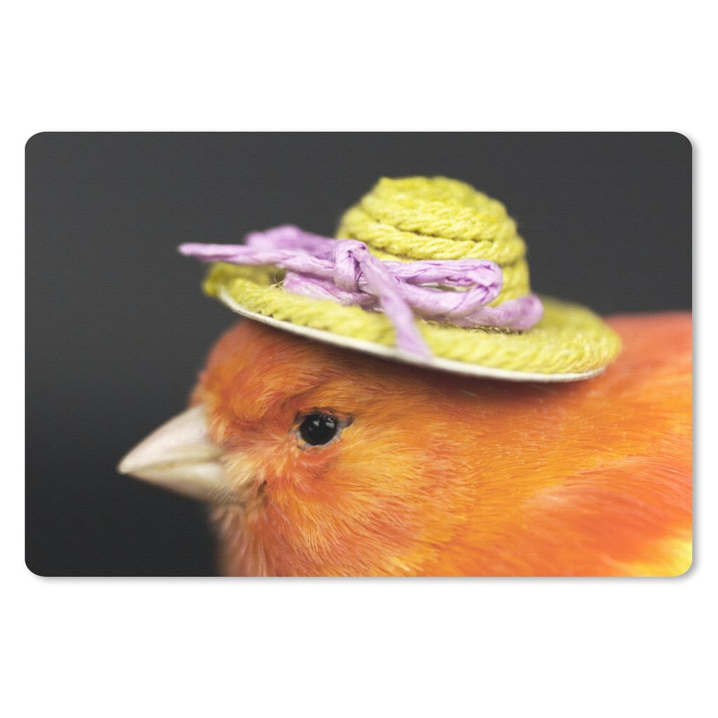 MuchoWow Schreibtischunterlage Vogel - Hut - Orange 60x40 cm - XXL Mauspad - Großes Mauspad