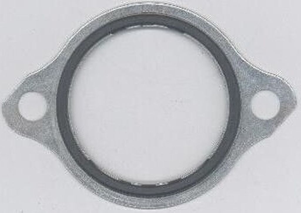 ELRING Dichtung Thermostat 146.570 für VOLVO A