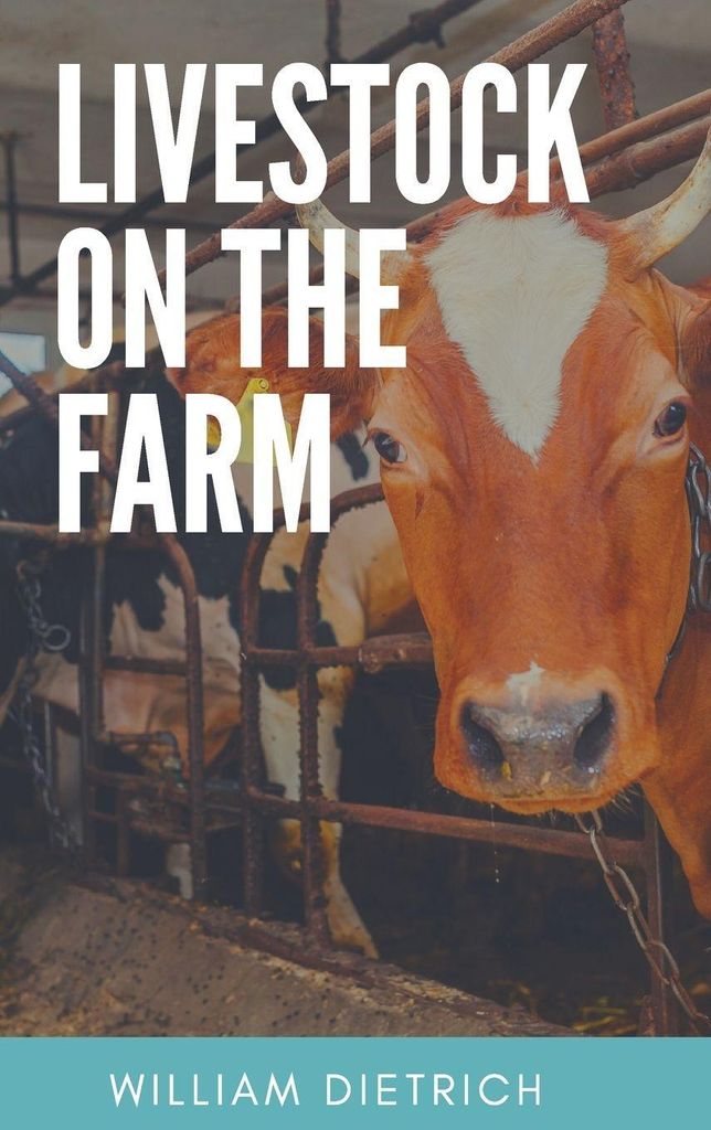 Livestock On The Farm