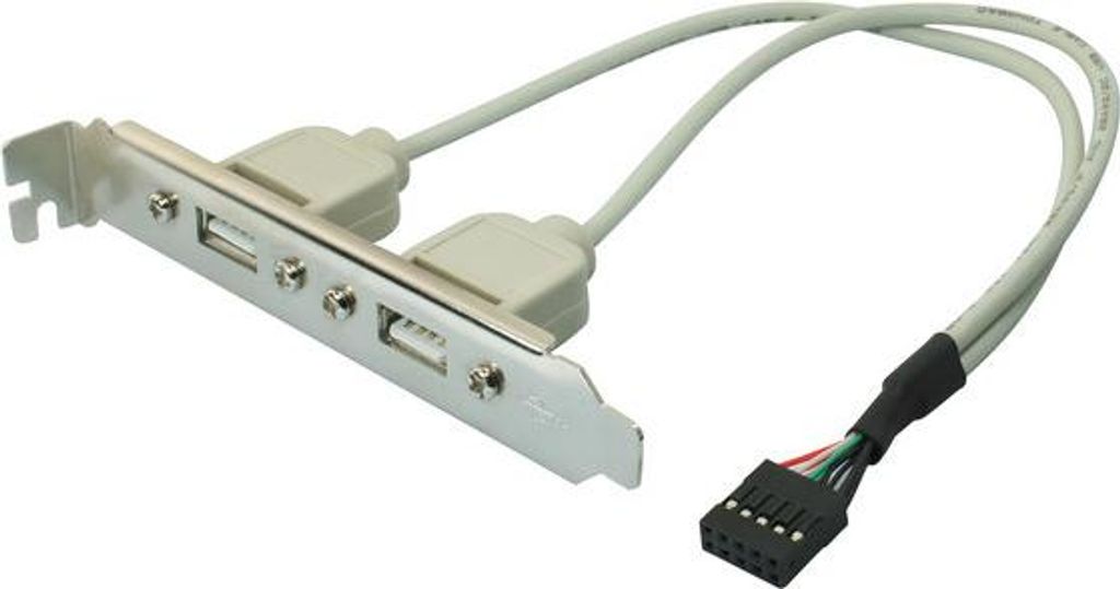 USB 2.0 Bracket, 2 x USB A- Buchse/ 10 pol Stecker