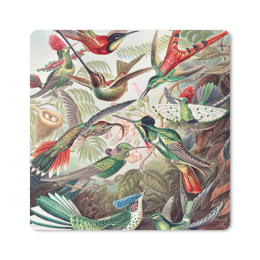 MuchoWow Mauspad Mousepad Kolibri - Vintage - Ernst Haeckel - Vogel - Kunst - Natur 20x20 cm - Mousepads - Maus Mat - Pad - Mausunterlage - Desk ...