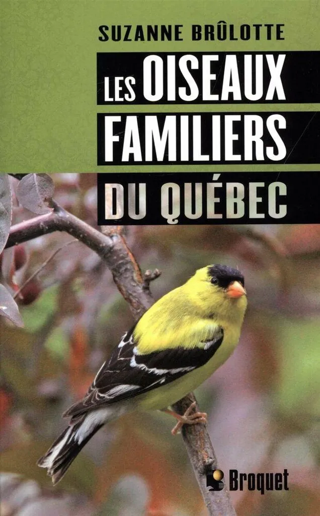 Identifier Les Oiseaux Familiers du Québec - Guide Anti-Confusion
