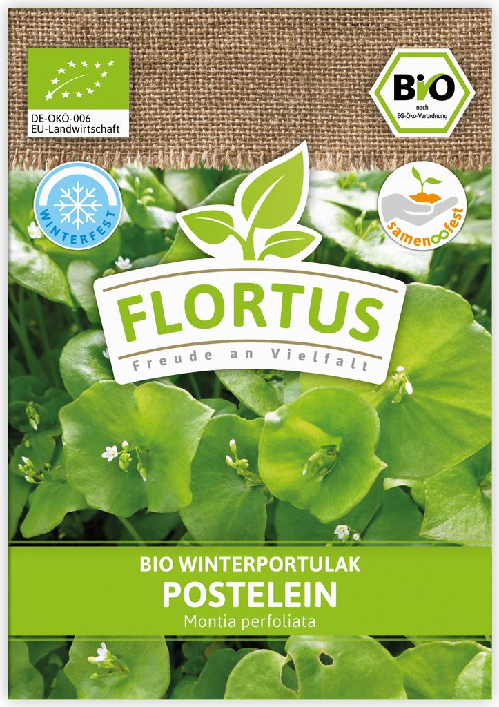 Winterportulak Postelein | Portulaksamen von FLORTUS