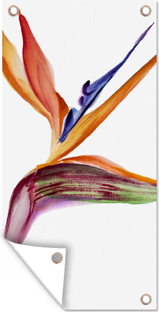 MuchoWow 40x80 cm Outdoor-Poster Gartendeko Sichtschutz Garten Poster für den Garten Strelitzia - Aquarell - Blumen