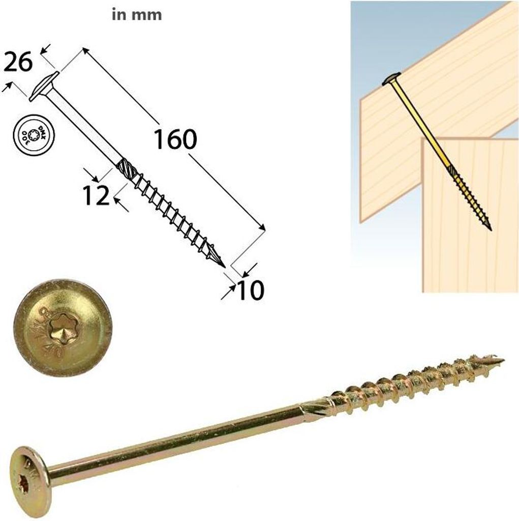 Tellerkopfschrauben 10,0x160 Konstruktionsschrauben Holzschrauben Set 50 Stück