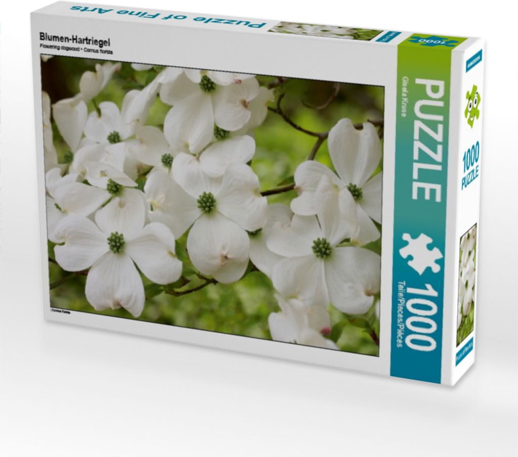 Calvendo Blumen-Hartriegel 1000 Teile Puzzle quer 640x480mm, Kruse Gisela; 7360701