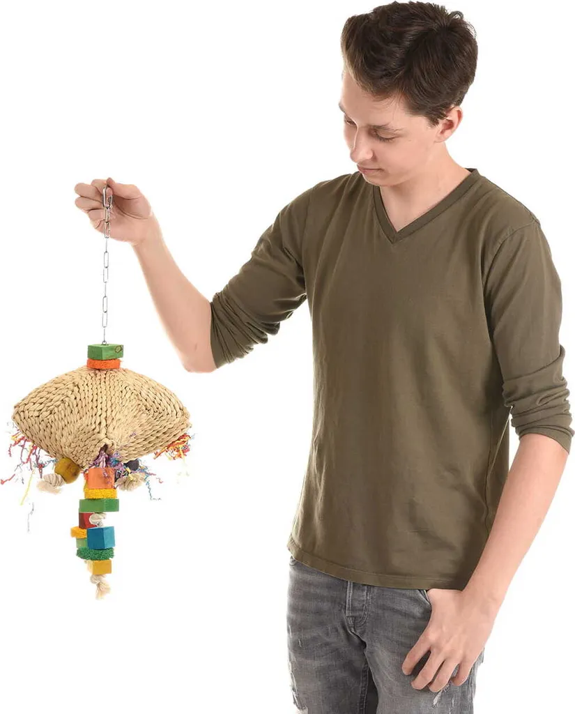 Acquista Jelly-Delly: Gioco Naturale Pappagalli | Prezzo Offerta
