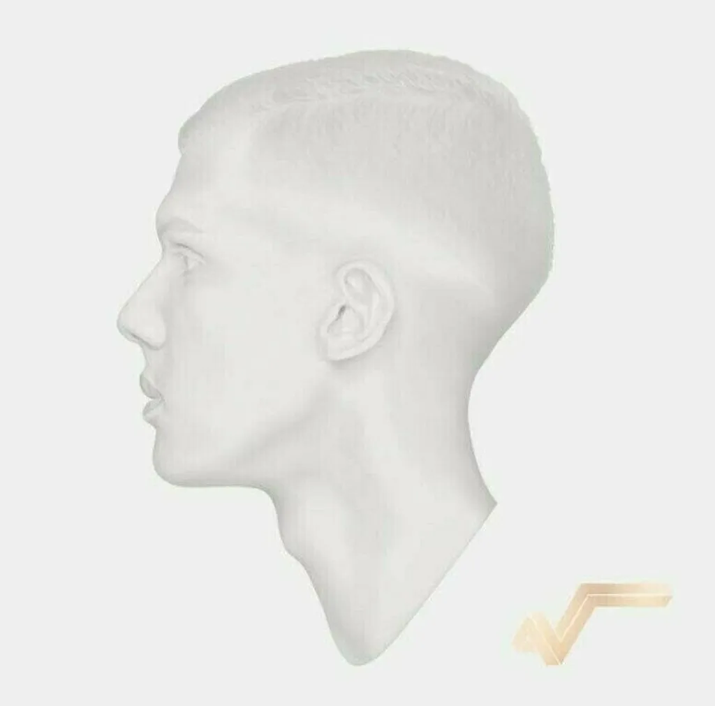 Vinyle Stromae Racine Carrée 10 ans Idée Cadeau Musique Edition 2 LP