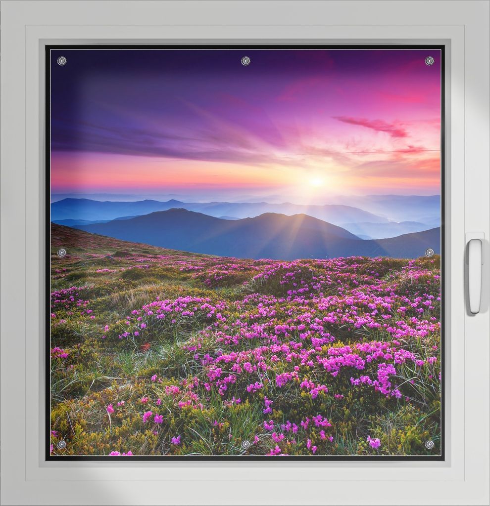 Wallario Lichtschutzbild, Dekorativer Sichtschutz Sonnenschutz 96 x 100 cm mit Motiv: Blumenbedeckte Wiese bei Sonnenuntergang - Verdunklung ohne B...