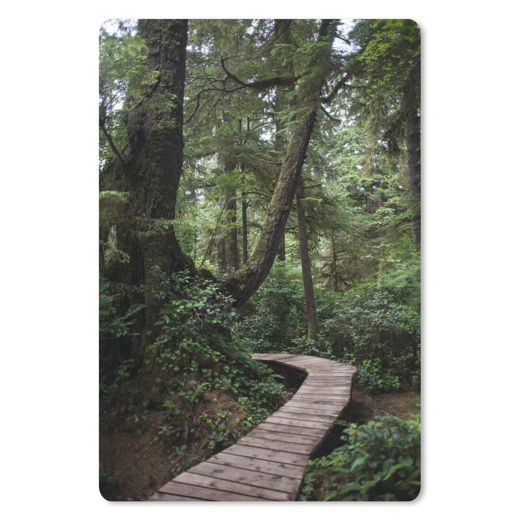 MuchoWow Mauspad Mousepad Holzbrücke in den moosbewachsenen Wäldern Costa Ricas 40x60 cm - Mousepads - Maus Mat - Pad - Mausunterlage - Schreib...