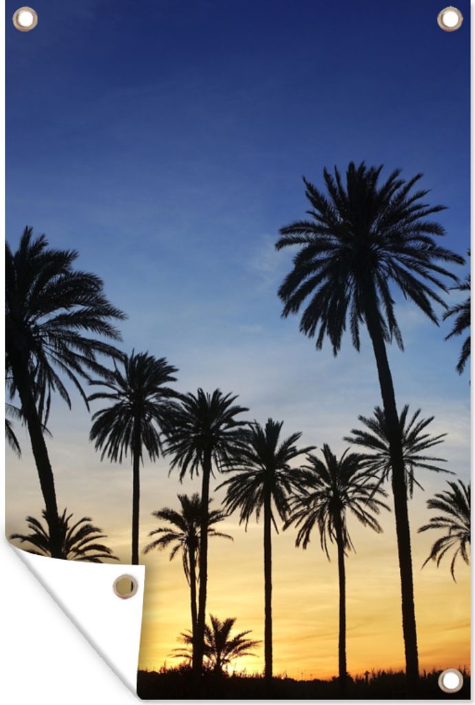 MuchoWow 60x90 cm Outdoor-Poster Gartendeko Sichtschutz Garten Poster für den Garten Palme - Natur - Strand - Sonne - Nacht