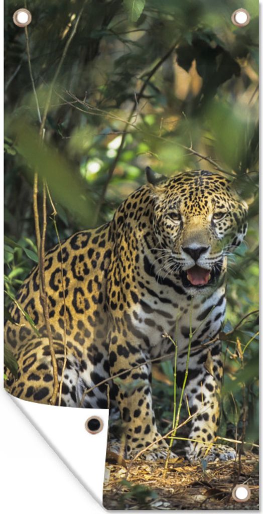MuchoWow 40x80 cm Outdoor-Poster Gartendeko Sichtschutz Garten Poster für den Garten Versteckter Jaguar im Dschungel