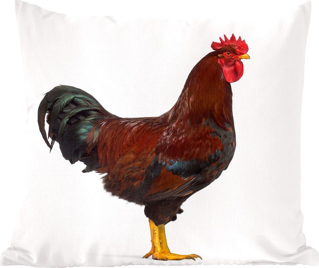 MuchoWow Huhn - Hahn Porträt Fotodruck - 40x40 cm - Sofakissenbezüge - ohne füllung