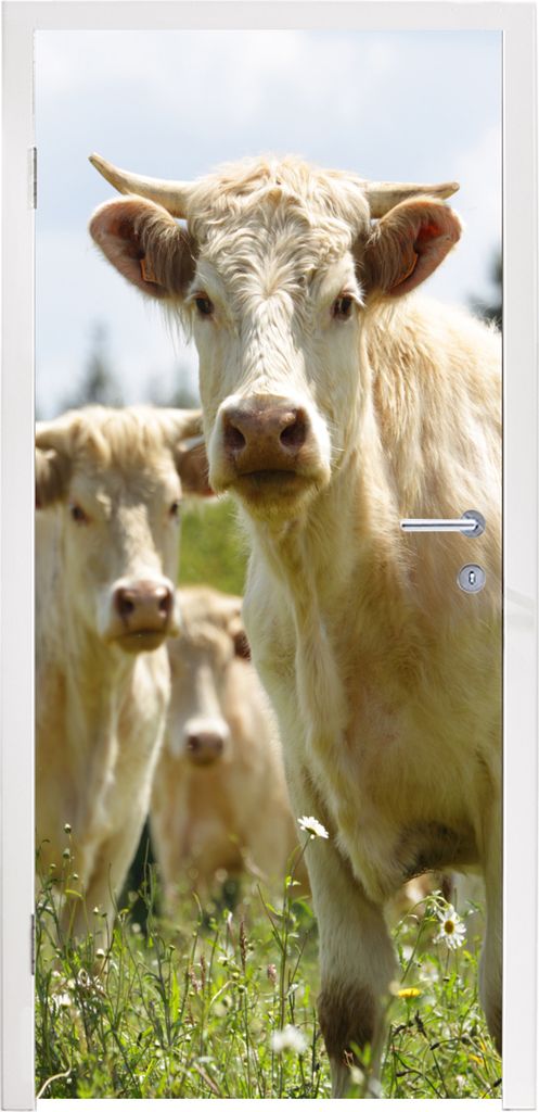MuchoWow Türtapete Selbstklebende Türfolie Kühe - Blumen - Weiß 95x215 cm Türposter Türaufkleber Klebefolie Türklebefolie - Tür Tapete - ...