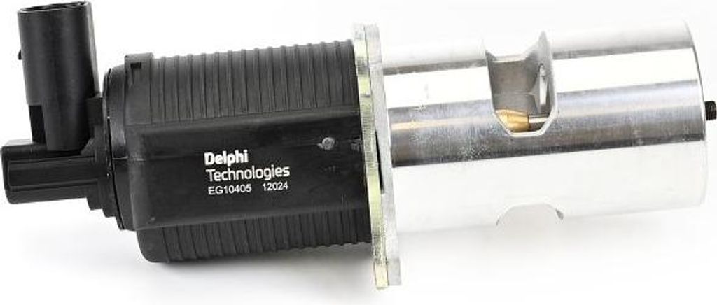 DELPHI EG10405-12B1 AGR-Ventil für RENAULT Clio III Produktbild 