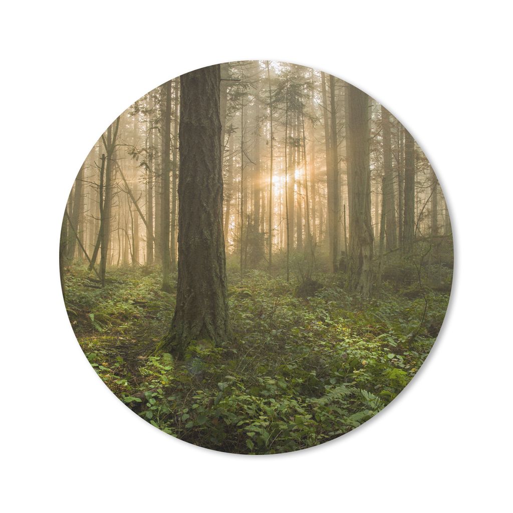 MuchoWow Mauspad Mousepad Wald - Sonne - Licht 30x30 cm - Mousepads - Maus Mat - Pad - Mausunterlage - Tischunterlage - Schreibtischmatten