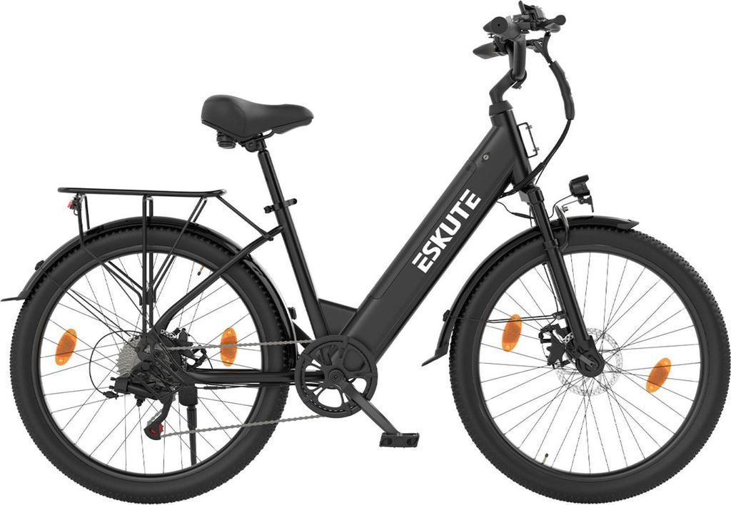 Bici elettrica ESKUTE C100 PLUS 250W 36V 13Ah E-bike nera Immagine del prodotto 