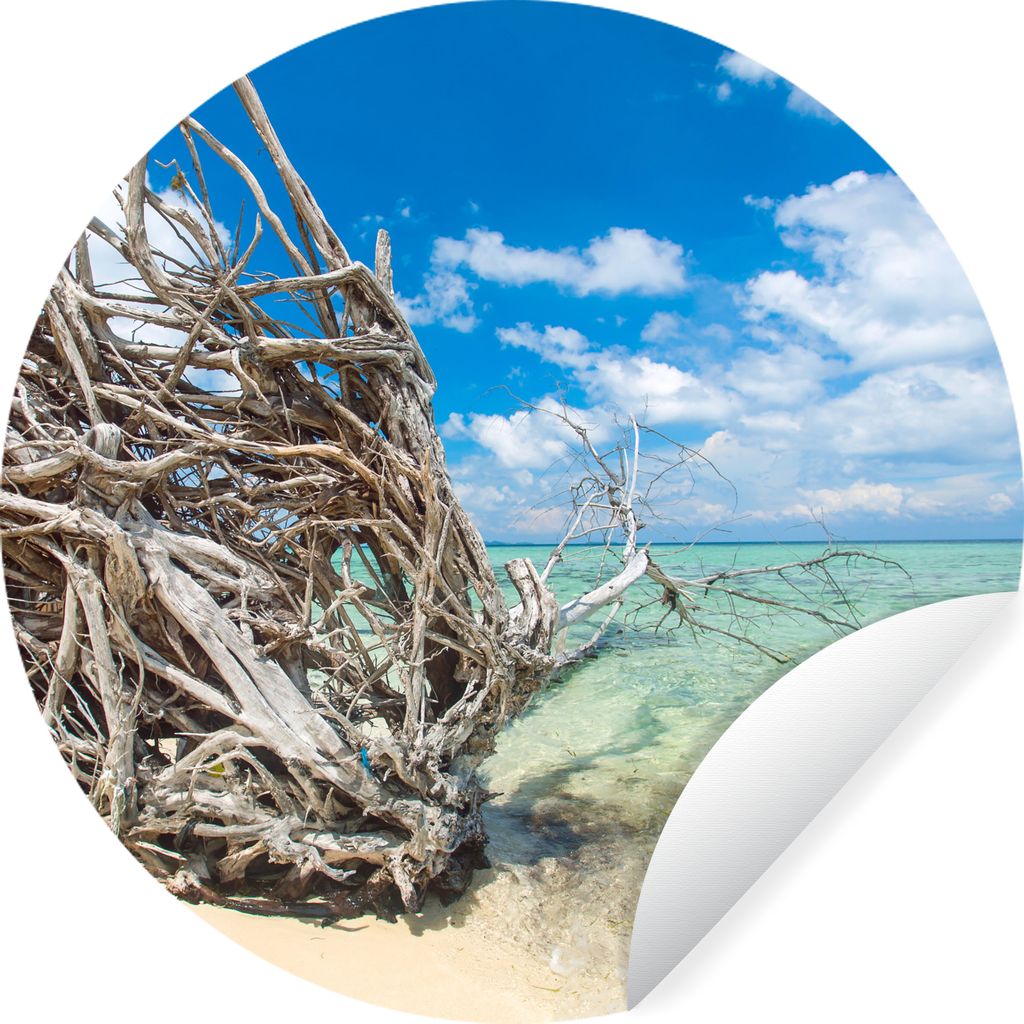 MuchoWow Runde Wandtattoo - Wandsticker Tapete Aufkleber Strand - Äste - Tropisch - Meer Ø 80 cm Selbstklebend und Repositionierbar - Wandaufkl...