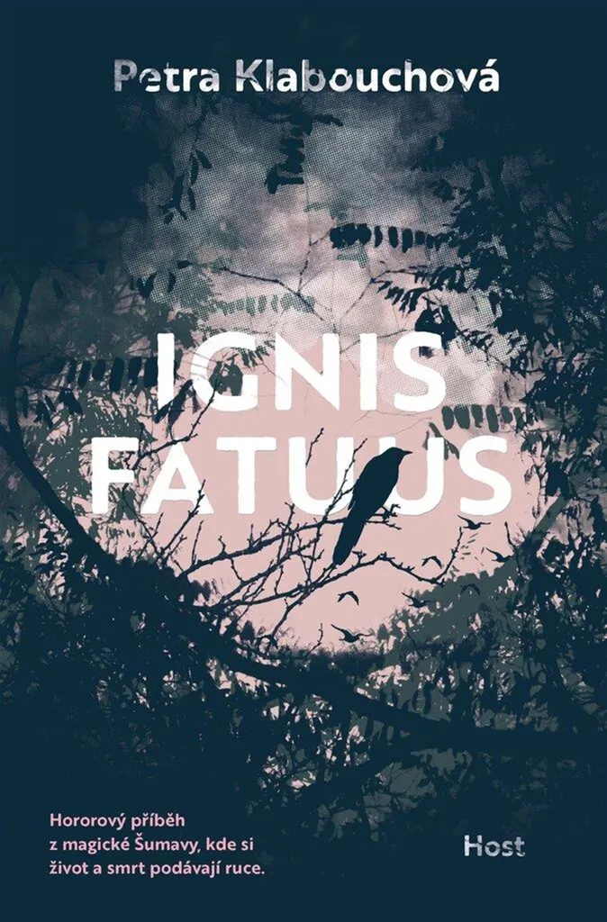 Éclairage de Jardin Ignis Fatuus Étanche pour Remplacer vos Vieilles Lampes