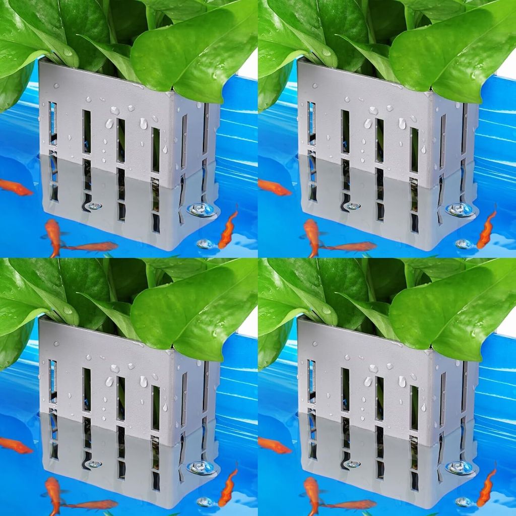 Borlech Aquarium Pflanzenhalter Set 4 Stück Grau