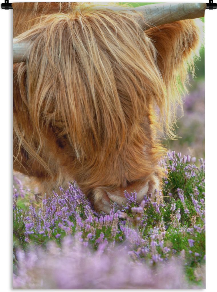 MuchoWow Wandteppich Wandbehang Schottische Highlander - Gras - Heidekraut - Tiere 60x90 cm Tapisserie Dekoration Wandtuch - Foto-Teppich - Abwas...
