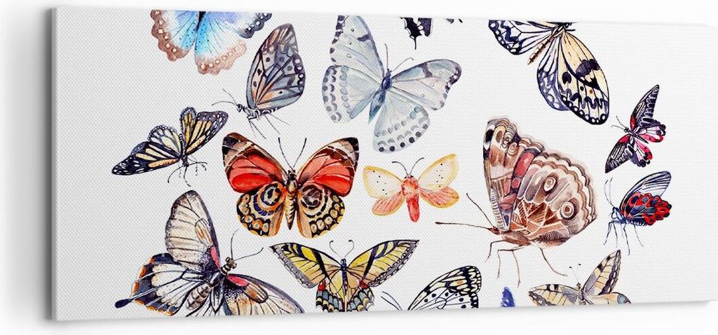 Bild auf Leinwand - Leinwandbild - Schmetterlinge Illustration Bunt Flügel - 100x40cm - Wand Bild - Wanddeko - Leinwanddruck - Bilder - Kunstdruck...