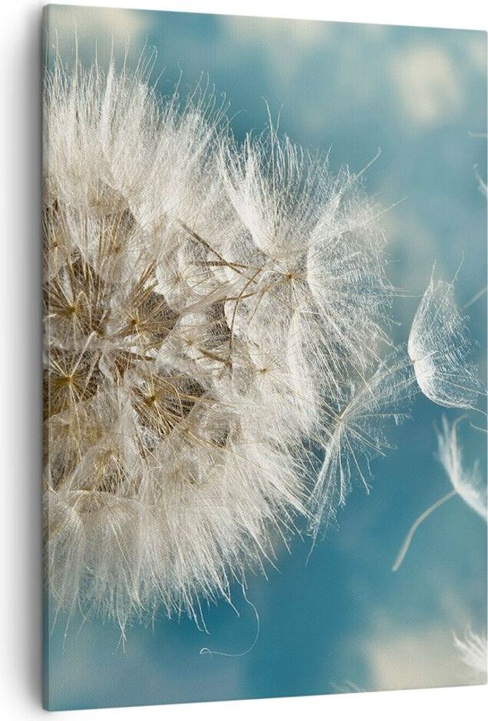 Bild auf Leinwand - Leinwandbild - Einteilig - Baby Sommer Pflanze - 50x70cm - Wand Bild - Wanddeko - Wandbilder - Leinwanddruck - Wanddekoration -...