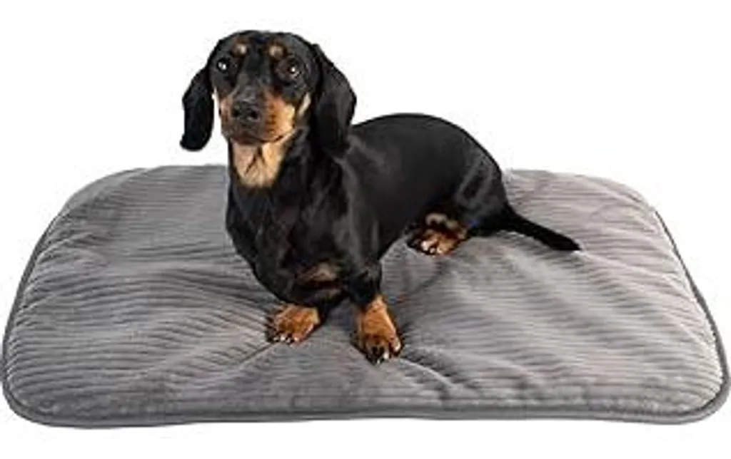 Tappetino Cani Grigio 70x45 cm | Cuscino Morbido Lavabile Basic M