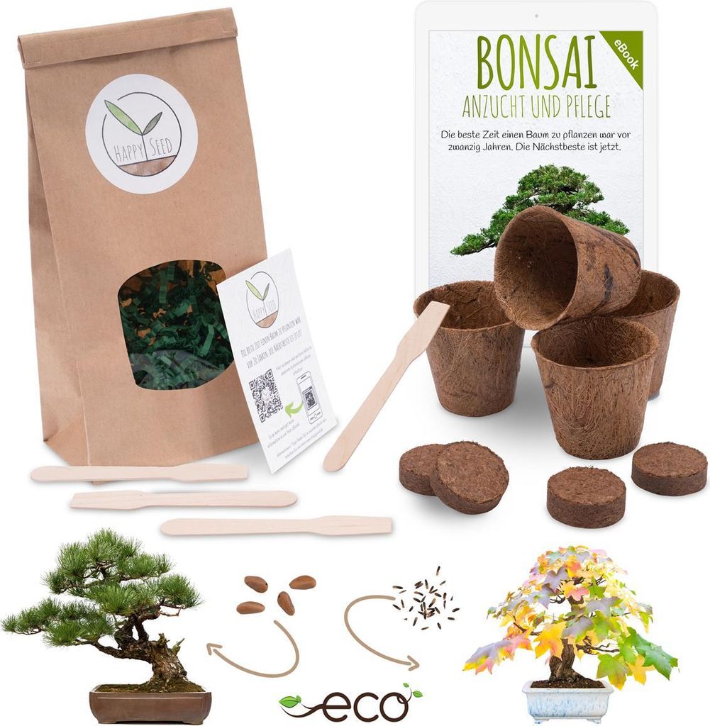 Bonsai Starter Kit Anzuchtset inkl. GRATIS eBook - Pflanzset aus Kokostöpfen, Samen & Erde (Mittelmeer Pinie + Amerikanischer Amberbaum)