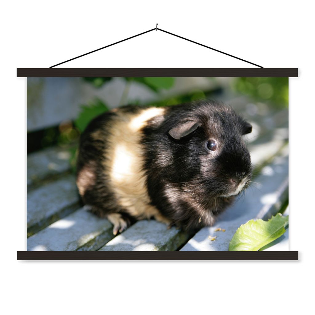 MuchoWow Textilposter Meerschweinchen im Garten 60x40 cm mit schwarzem Rahmen - Hölzernes