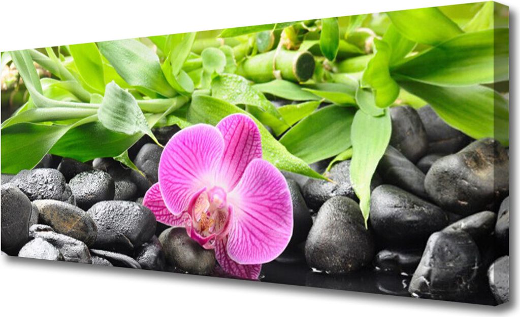 Tulup Leinwand-Bilder 125x50 Wandbild Canvas Kunstdruck Blume Blätter Steine Kunst