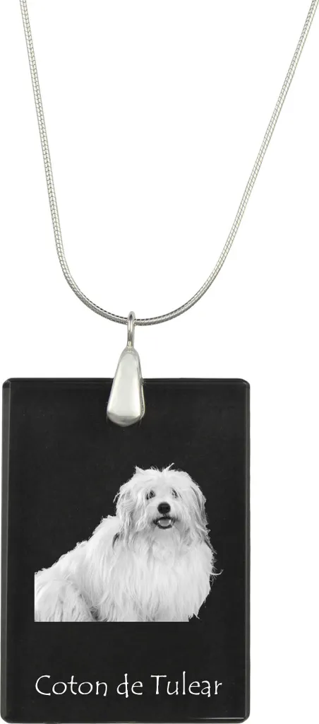 Offerta Ciondolo Coton de Tulear Art-Dog - Collana Argento Originale
