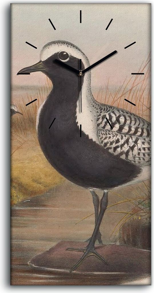 Dekor Leinwand Uhr Wandbilder Geräuschlos 30x60 Vögel Wild Tiere Zeichnung Kunst - schwarze Hände