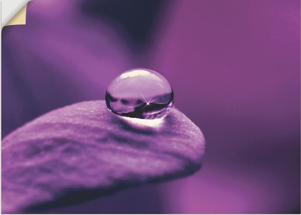 ARTland Wandbild, selbstklebend Amethyst Größe: 60x45 cm
